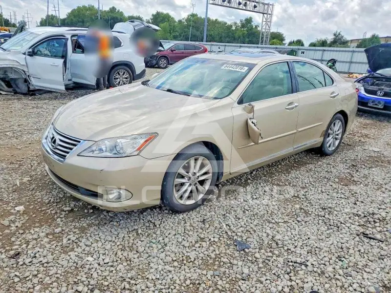 2010 Lexus ES350 photo
