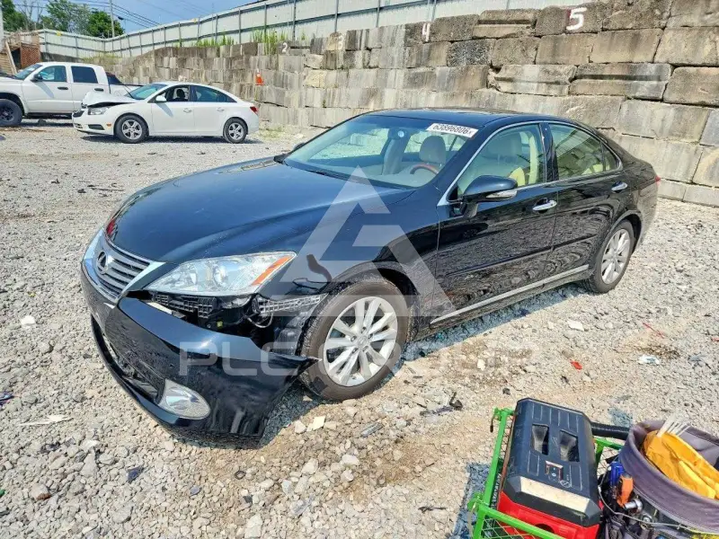 2010 Lexus ES350 фото