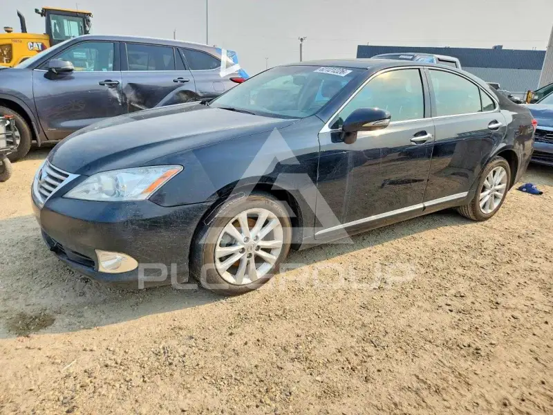 2010 Lexus ES350 фото