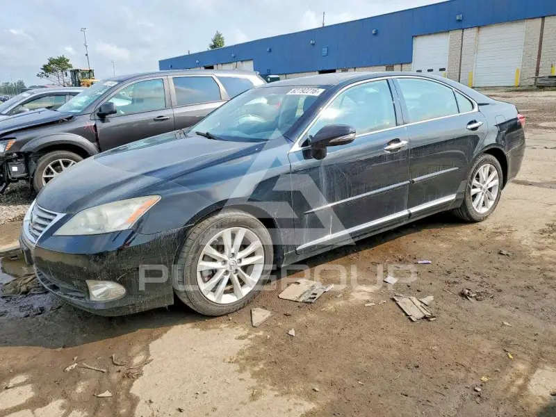 2010 Lexus ES350 фото