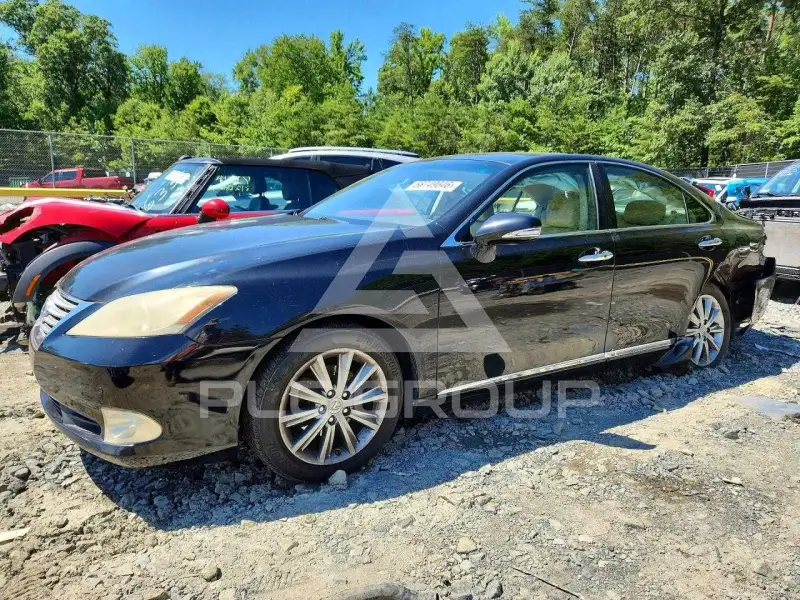 2010 Lexus ES350 фото
