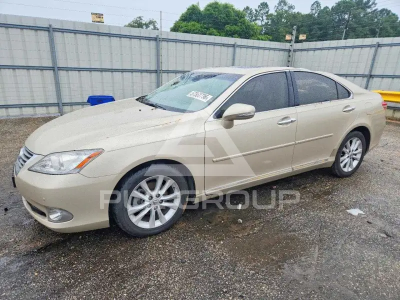 2010 Lexus ES350 фото