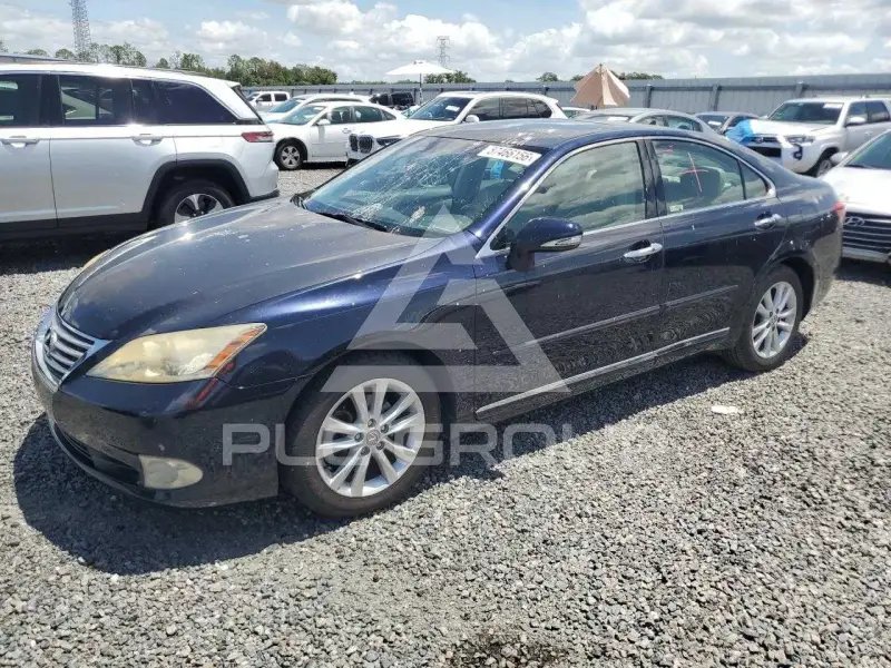 2010 Lexus ES350 фото