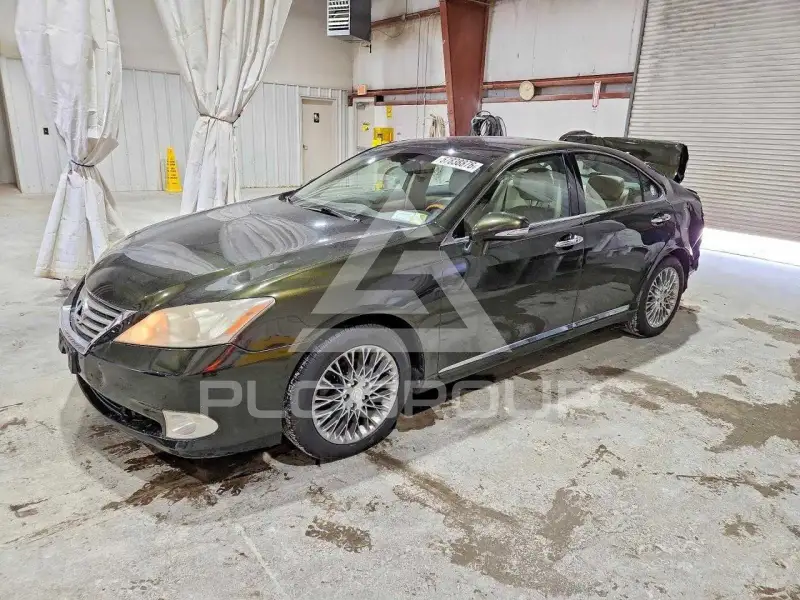 2010 Lexus ES350 фото