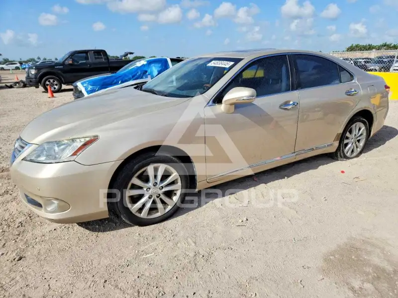 2010 Lexus ES350 фото