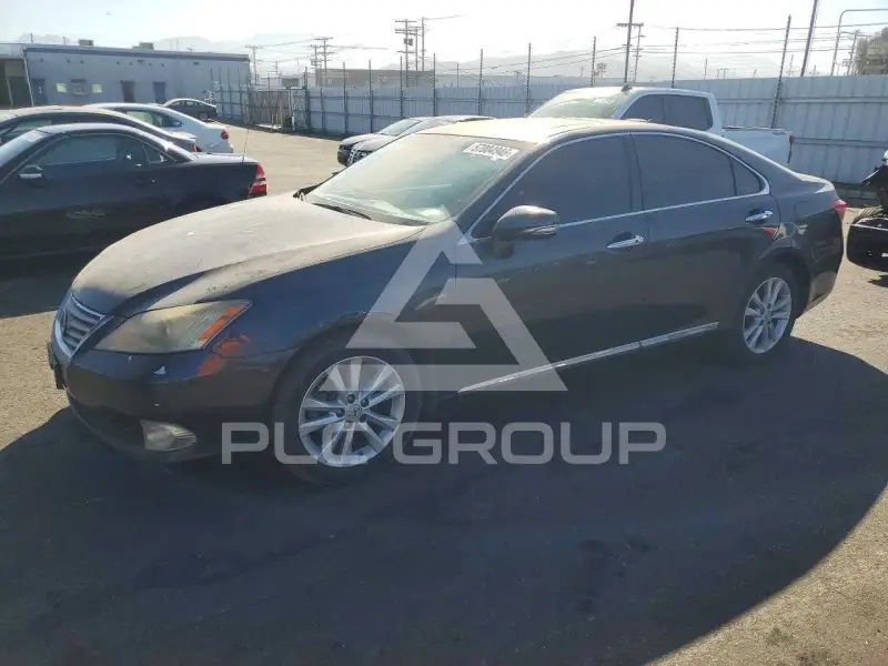 2010 Lexus ES350 фото