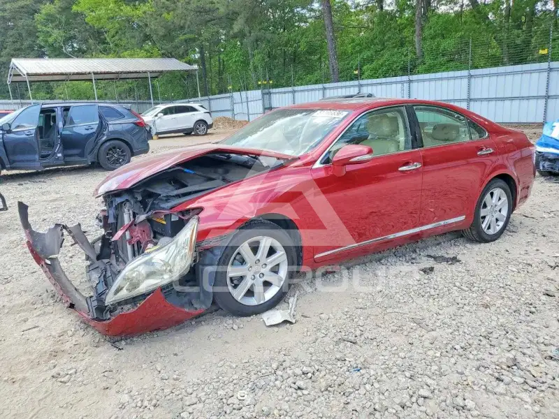 2010 Lexus ES350 фото