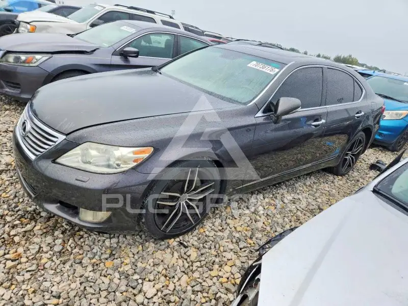 2010 Lexus LS460 фото