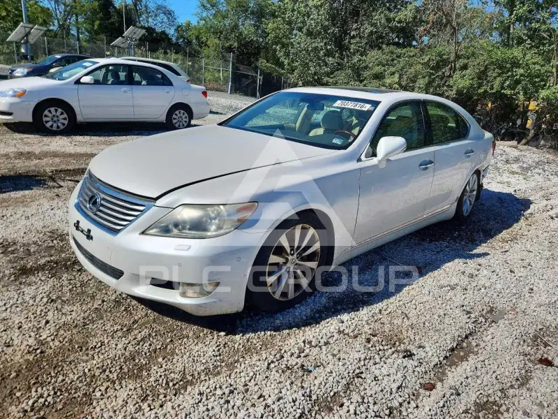 2010 Lexus LS460 фото