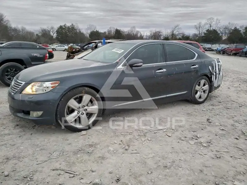 2010 Lexus LS460 фото