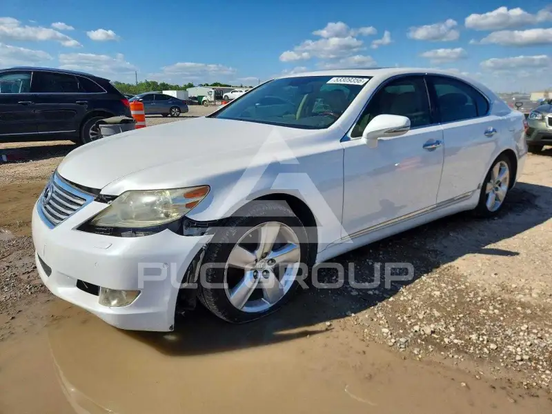 2010 Lexus LS460 фото