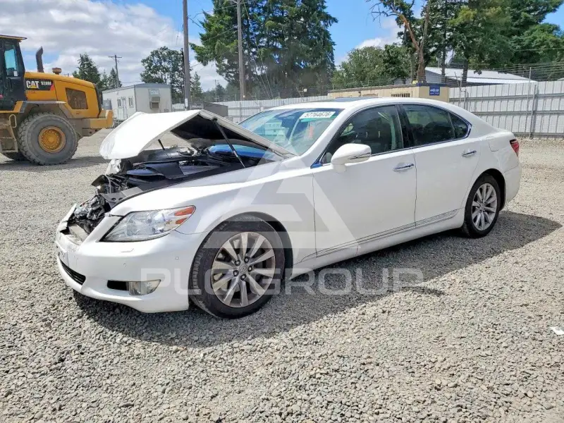 2010 Lexus LS460 фото