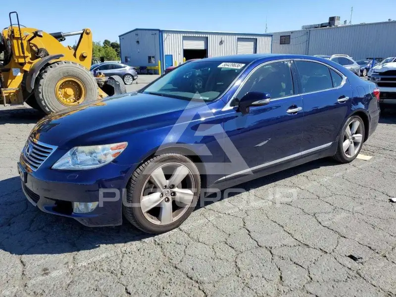 2010 Lexus LS460 фото