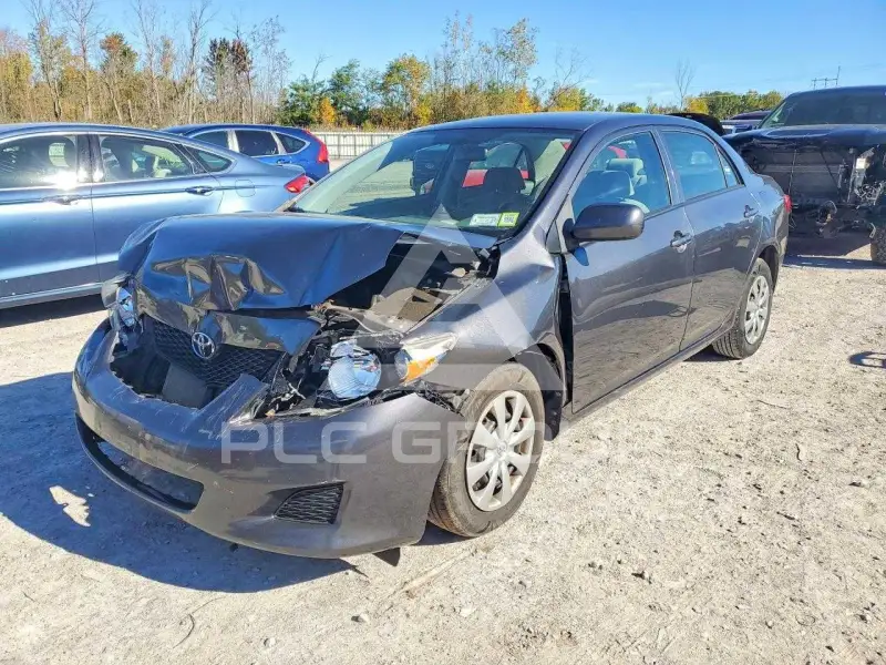 2010 Toyota COROLLA фото