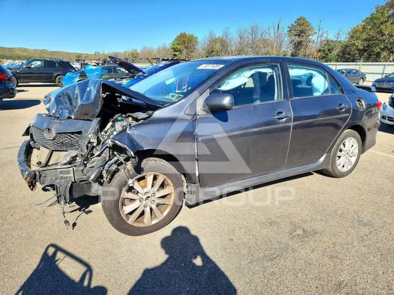 2010 Toyota COROLLA фото