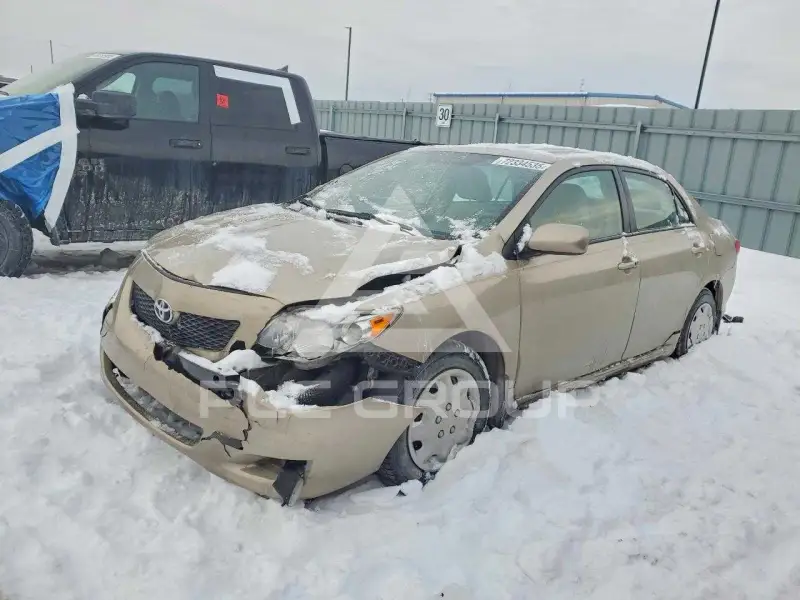 2010 Toyota COROLLA photo