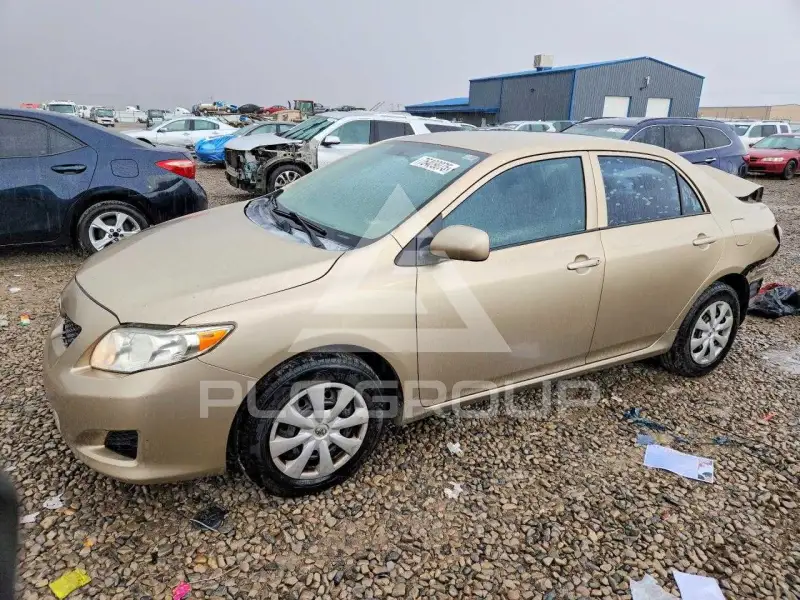 2010 Toyota COROLLA фото