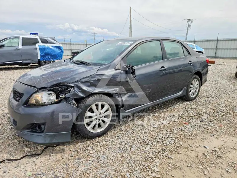 2010 Toyota COROLLA фото