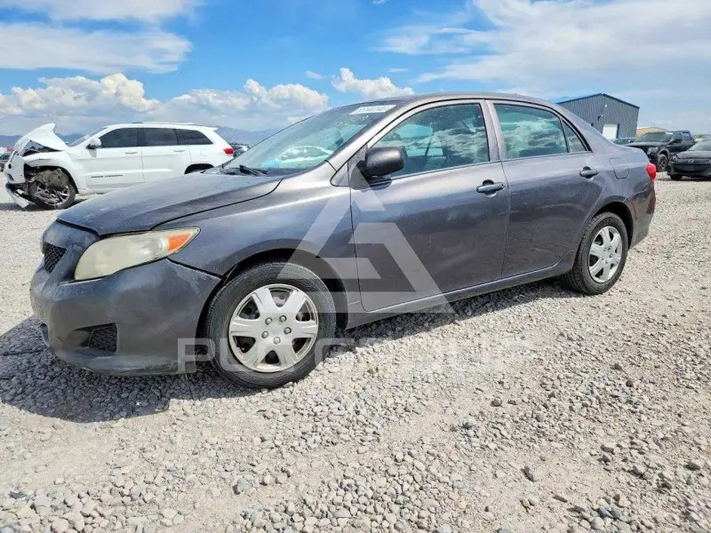 2010 Toyota COROLLA фото