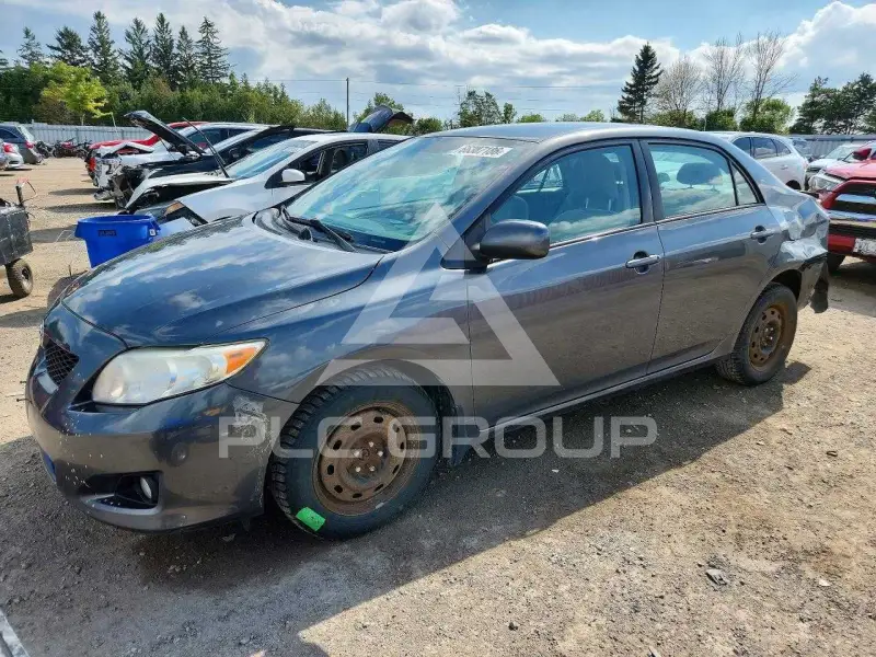 2010 Toyota COROLLA photo