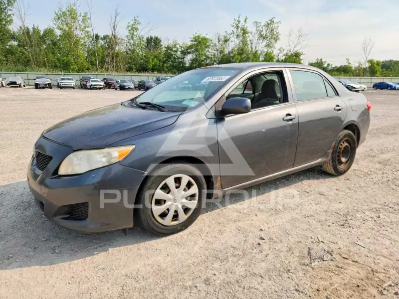 2010 Toyota COROLLA фото