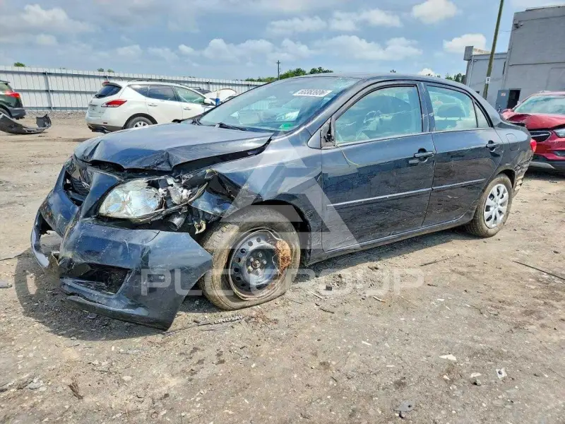 2010 Toyota COROLLA photo