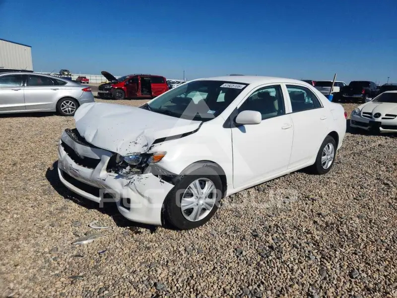 2010 Toyota COROLLA фото