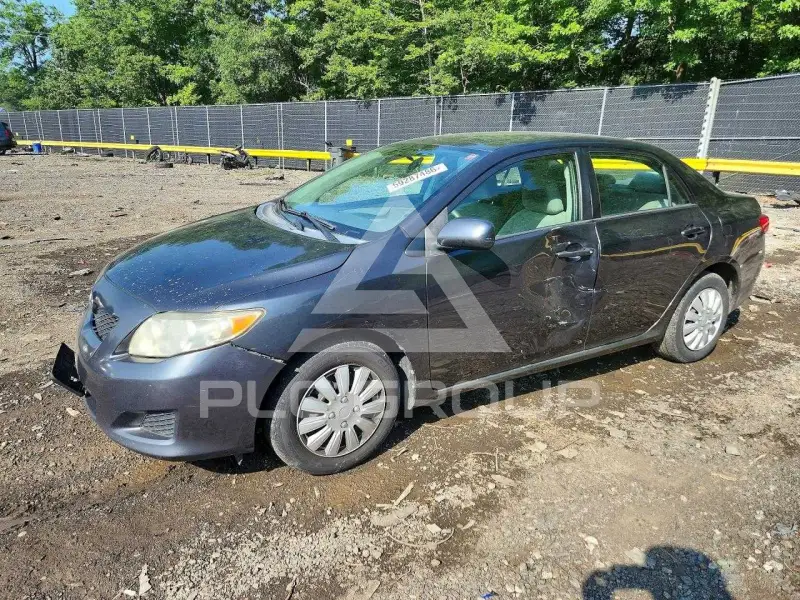 2010 Toyota COROLLA photo