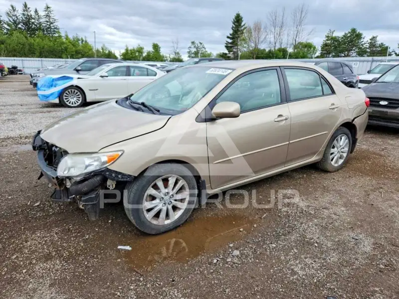 2010 Toyota COROLLA photo