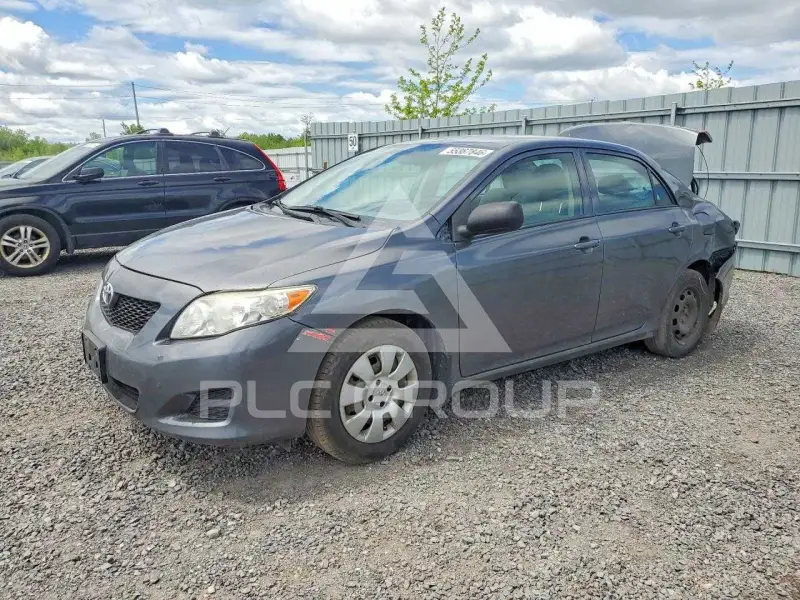 2010 Toyota COROLLA фото