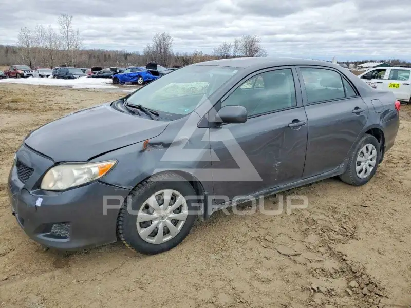 2010 Toyota COROLLA фото