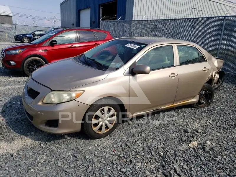 2010 Toyota COROLLA фото