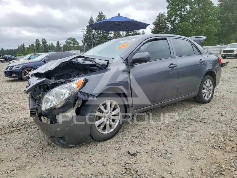 2010 Toyota COROLLA photo