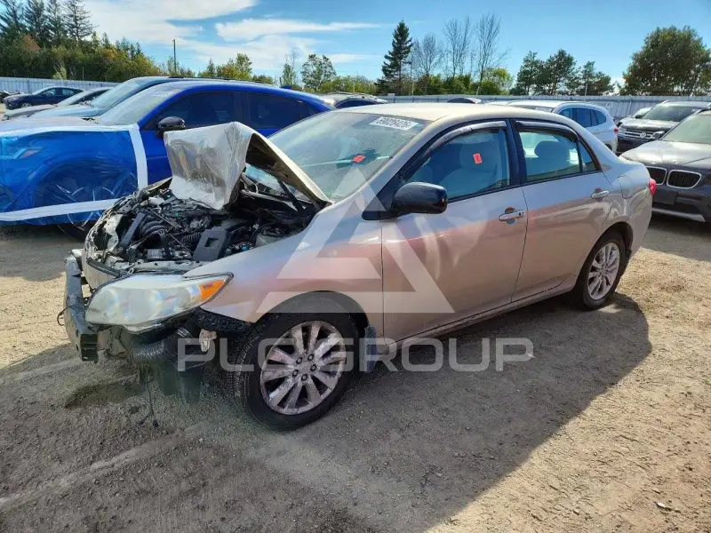 2010 Toyota COROLLA photo