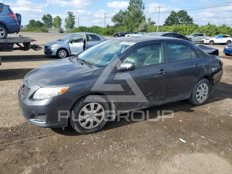 2010 Toyota COROLLA photo