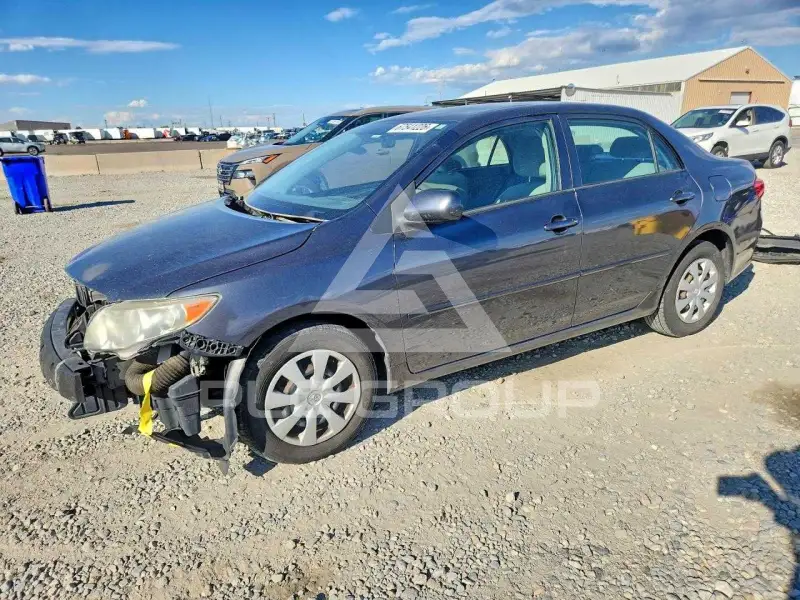 2010 Toyota COROLLA photo