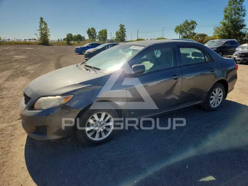 2010 Toyota COROLLA фото