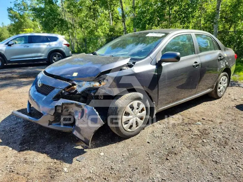 2010 Toyota COROLLA photo