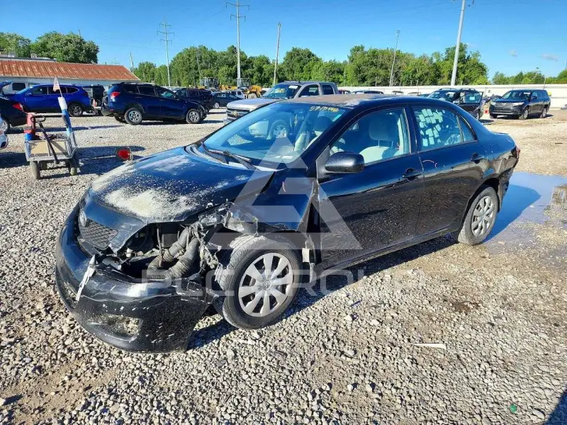 2010 Toyota COROLLA photo