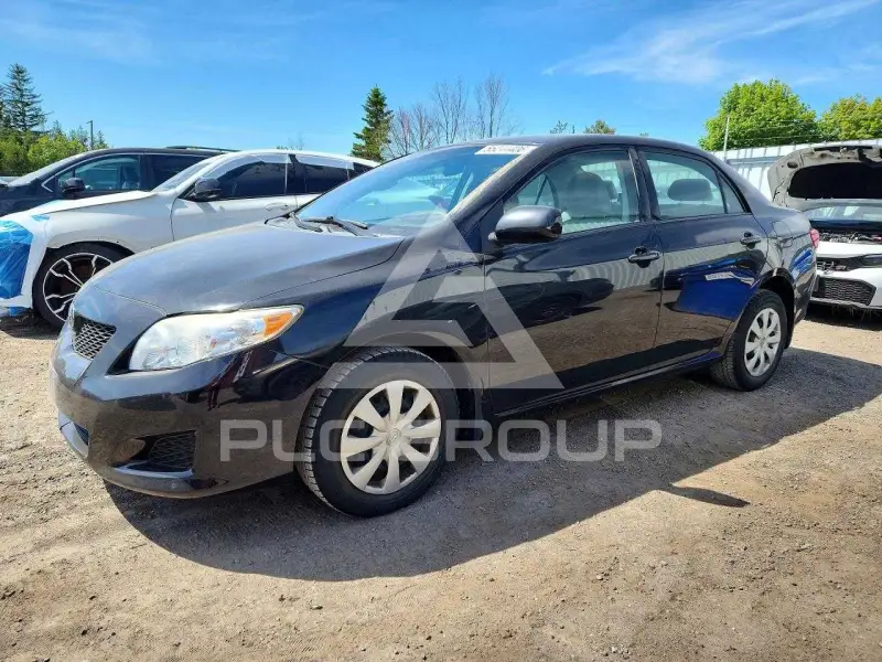 2010 Toyota COROLLA фото
