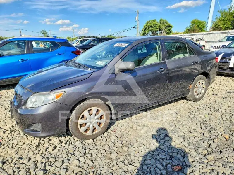 2010 Toyota COROLLA фото