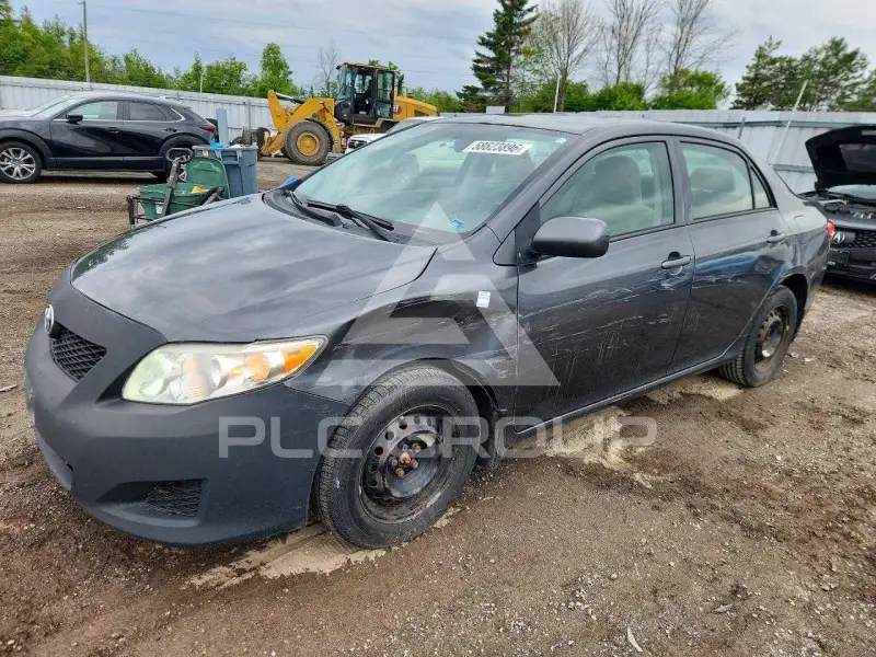 2010 Toyota COROLLA фото
