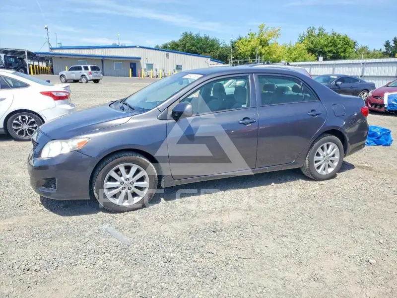2010 Toyota COROLLA фото