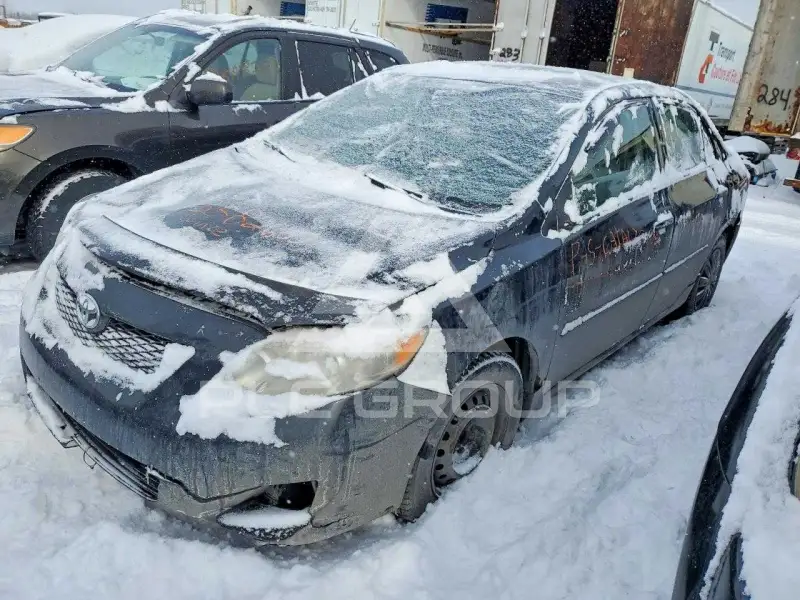 2010 Toyota COROLLA photo