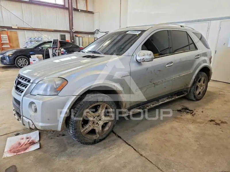 2010 Mercedes Benz M-Class photo