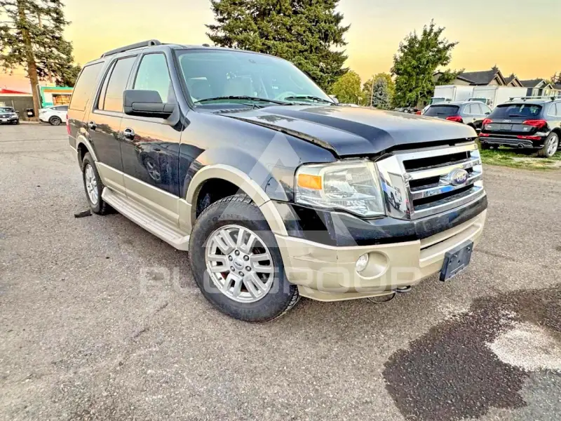 2010 Ford EXPEDITION фото