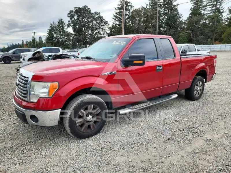 2010 Ford F-150 photo
