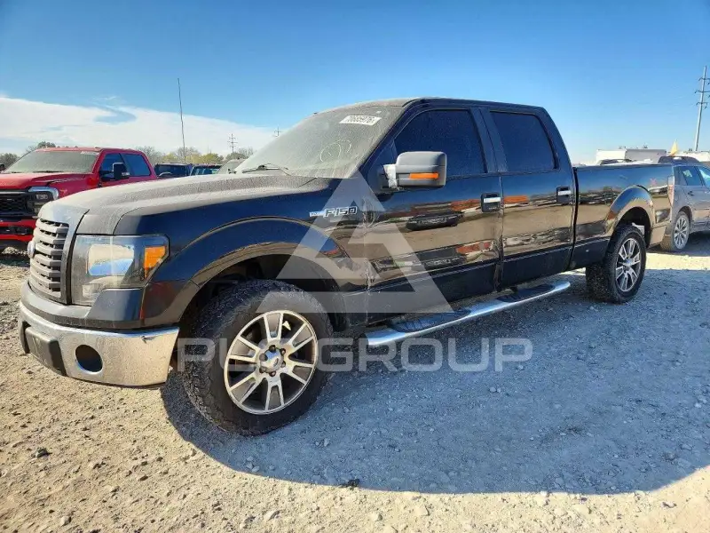 2010 Ford F-150 photo