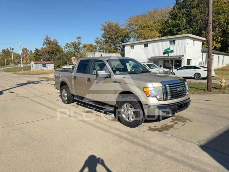 2010 Ford F-150 photo
