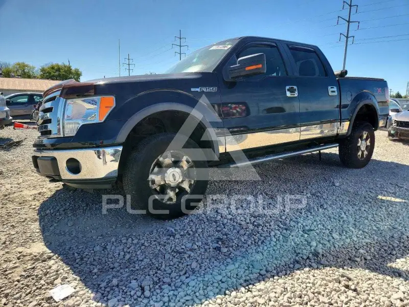 2010 Ford F-150 photo